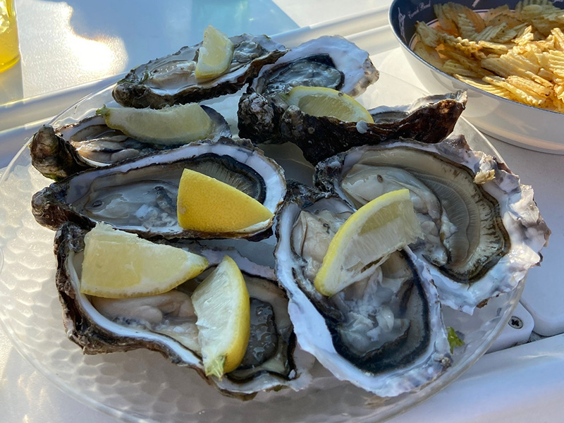 Fresh oysters